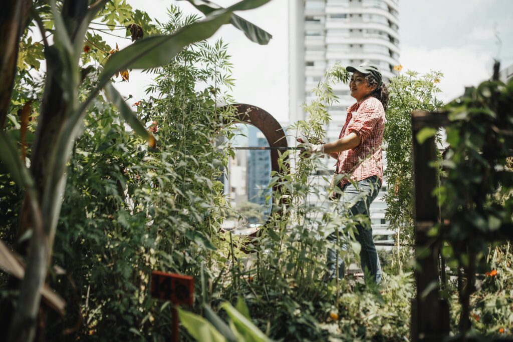 Urban rooftop farming