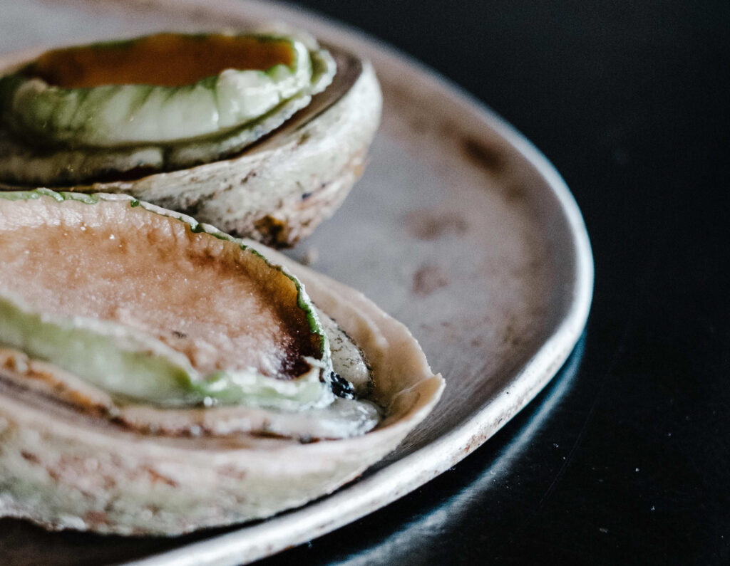 Green lip abalone